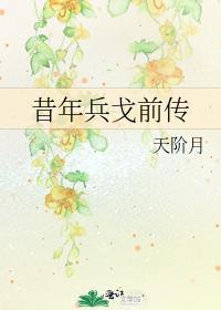 昔年兵戈前传