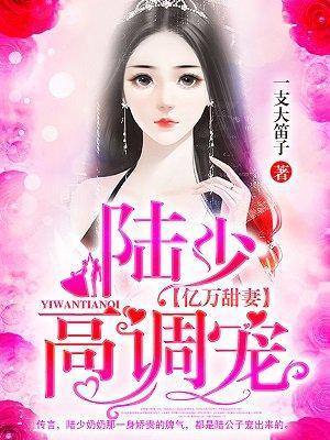 亿万甜妻:陆少,高调宠