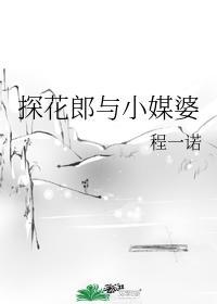 探花郎与小媒婆