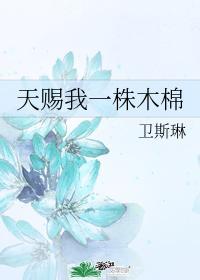 天赐我一株木棉1