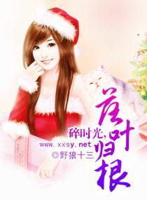 碎时光之落叶归根
