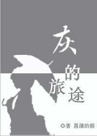 [宠物小精灵bw]灰的旅途