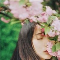 全球追妻:甜心乖乖入怀