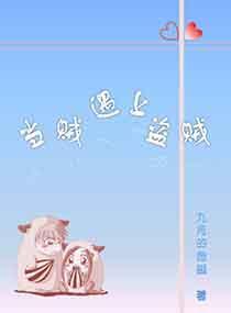 当贼遇上盗贼