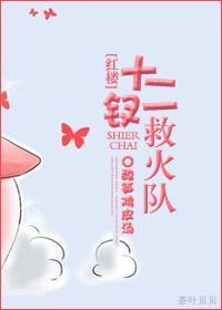 [红楼]十二钗救火队