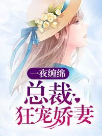 一夜缠绵:总裁狂宠娇妻