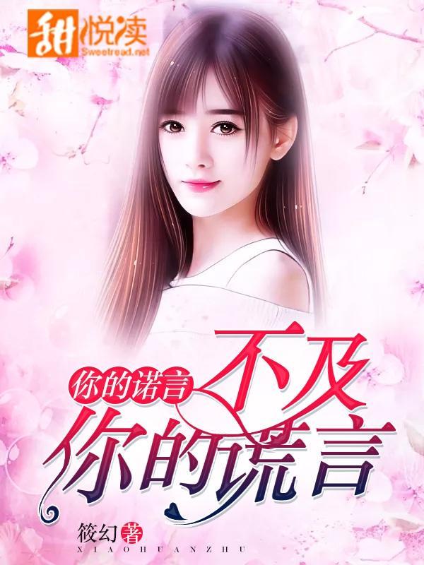 你的诺言，不及你的谎言