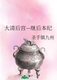 大清后宫—继后本纪