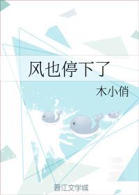 风也停下了