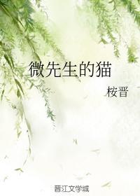 微先生的猫