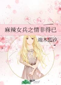 麻辣女兵之情非得已
