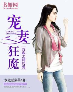 宠妻狂魔:首席之间的爱