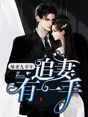 辣妻九零年:追妻有一手