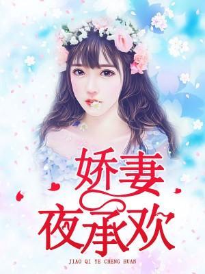 娇妻夜承欢
