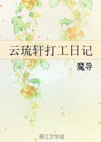 云琉轩打工日记