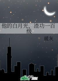 他的白月光,渣功一百级