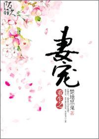 重生之爱妻（女尊）