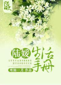 陆媛生活手册