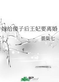 嫁给傻子后王妃要离婚