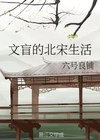文盲的北宋生活