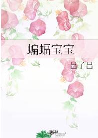 蝙蝠宝宝