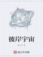 彼岸宇宙
