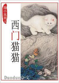 陆小凤同人之西门猫猫