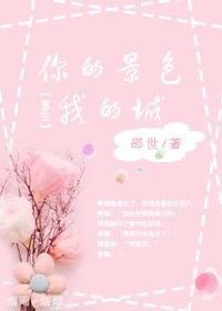 你的景色我的城(重生)