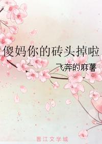 傻妈你的砖头掉啦
