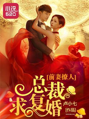 前妻撩人：总裁求覆婚
