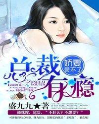 总裁有瘾:娇妻受不了