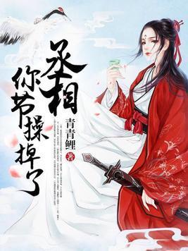 丞相,你节操掉了