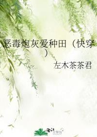 恶毒炮灰爱种田(快穿)