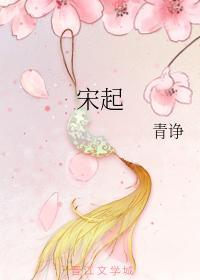 宋起