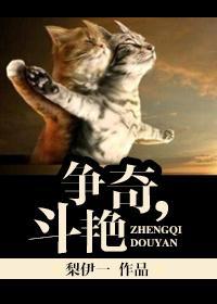 争奇，斗艷