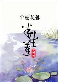半世芙蓉半生莲
