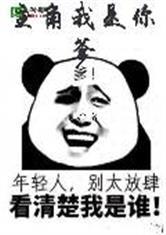 主角！我是你爹