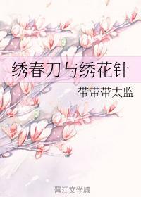绣春刀与绣花针