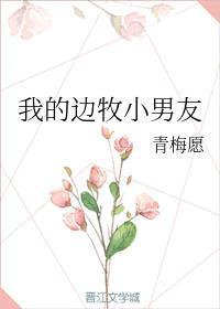 我的边牧小男友