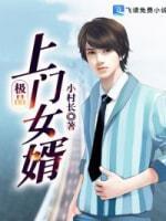 极品上门女婿