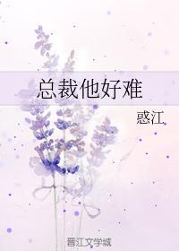 总裁他好难