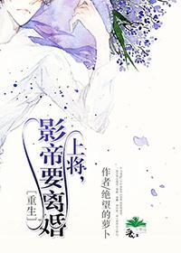 上将,影帝要离婚〔重生〕