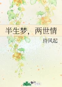 半生梦,两世情
