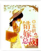 错嫁总裁