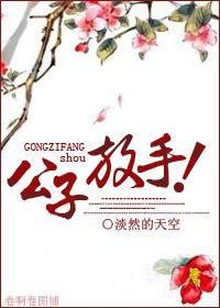 公子放手