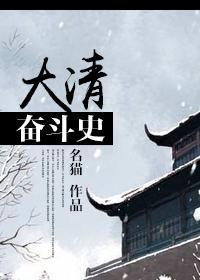 大清奋斗史