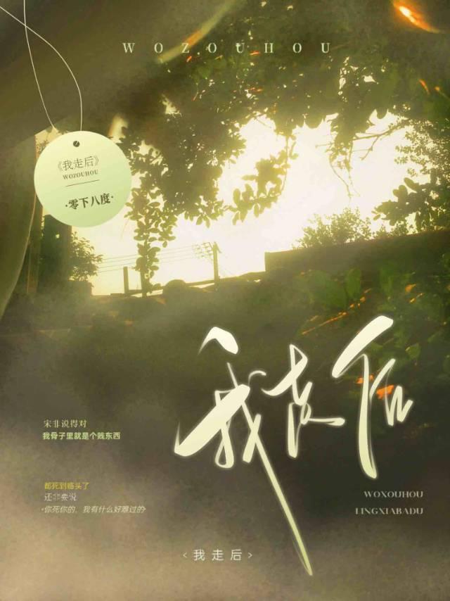 我走后