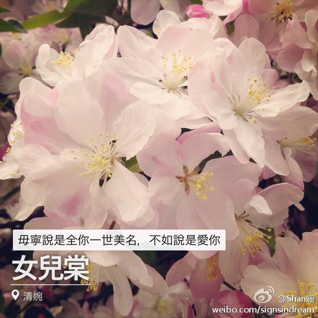 女儿棠