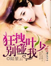 狂拽叶少的婚事