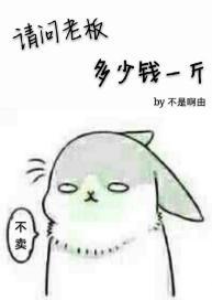 请问老板多少钱一斤